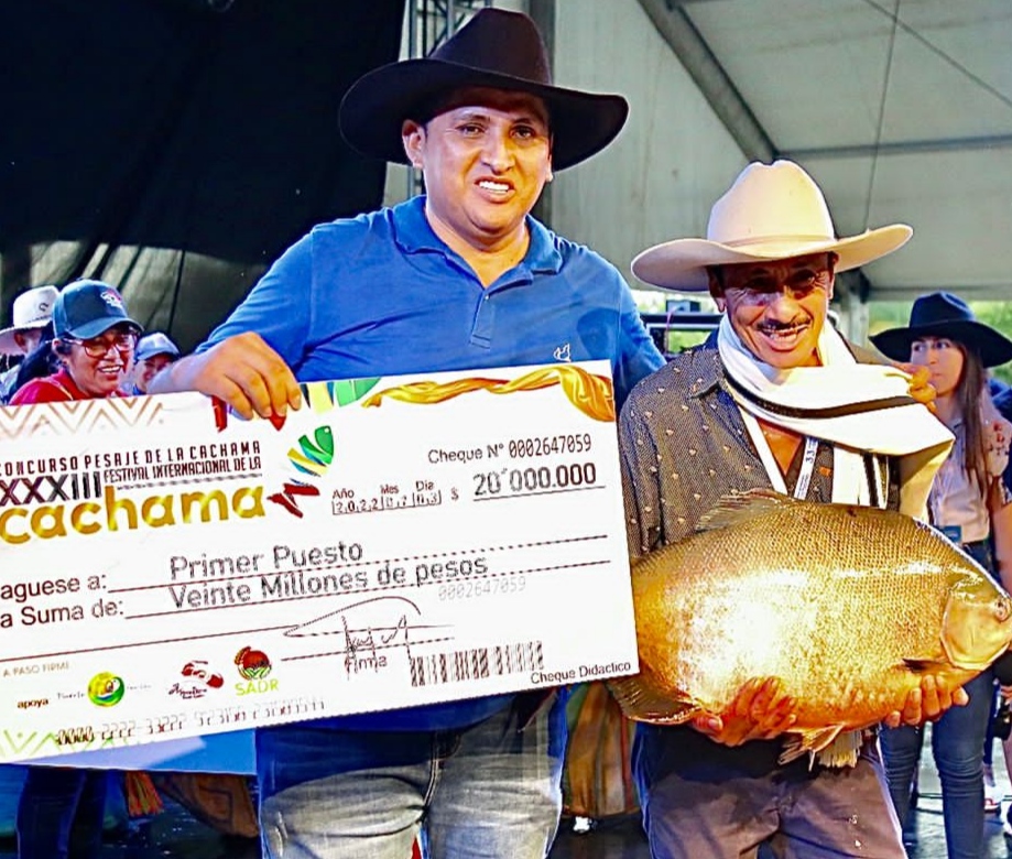 Noticias