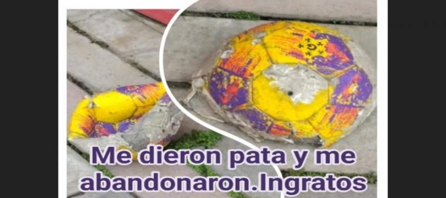 Noticias